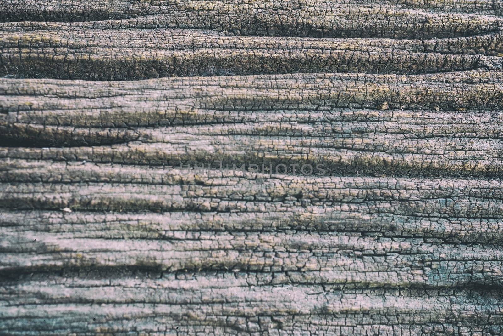 Old gray wood background wallpaper texture space