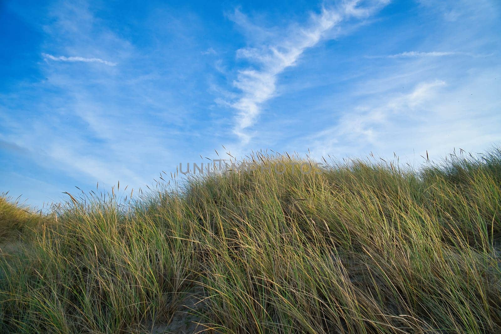 Beach crossing in Denmark by the sea. Dunes, sand water and clouds on the coast. Trip to the Baltic Sea. Vacation on the beach. Scandinavia landscape