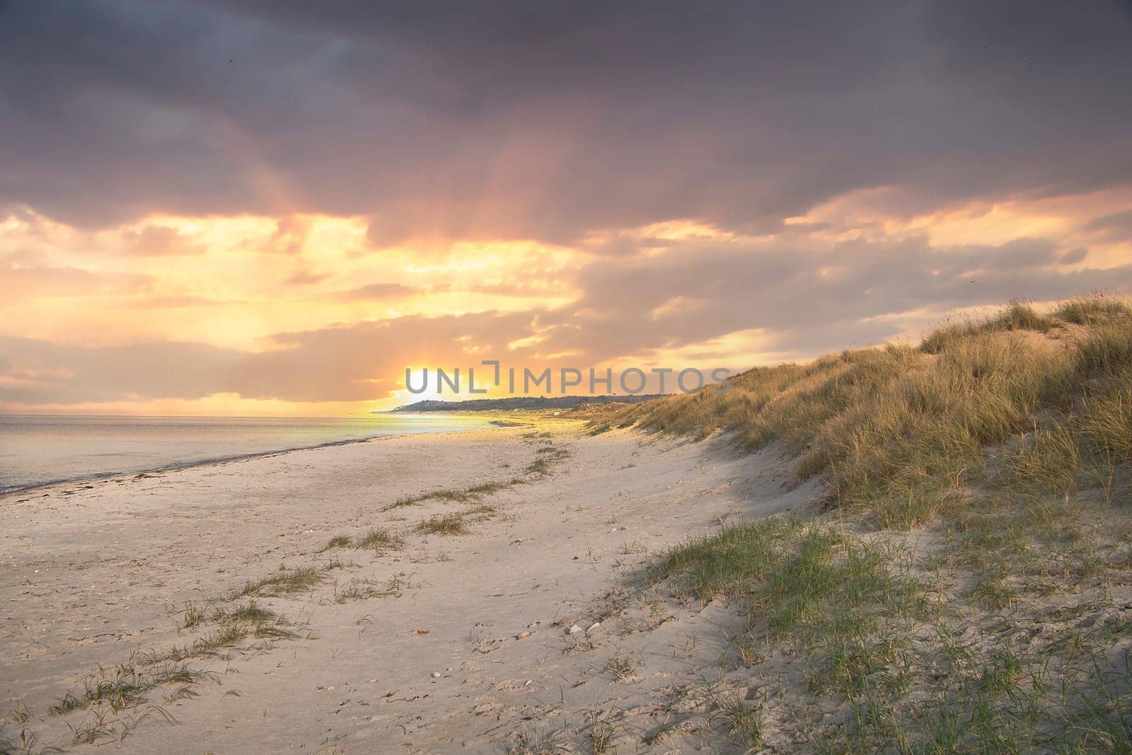 Beach crossing in Denmark by the sea. Dunes, sand water and clouds on the coast. Trip to the Baltic Sea. Vacation on the beach. Scandinavia landscape