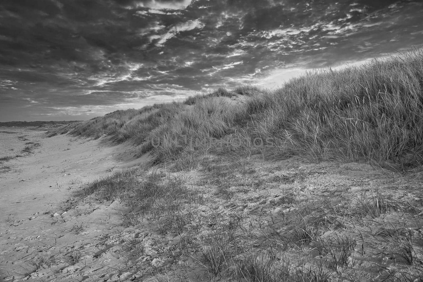 Beach crossing in Denmark by the sea. Dunes, sand water and clouds on the coast. Trip to the Baltic Sea. Vacation on the beach. Scandinavia landscape