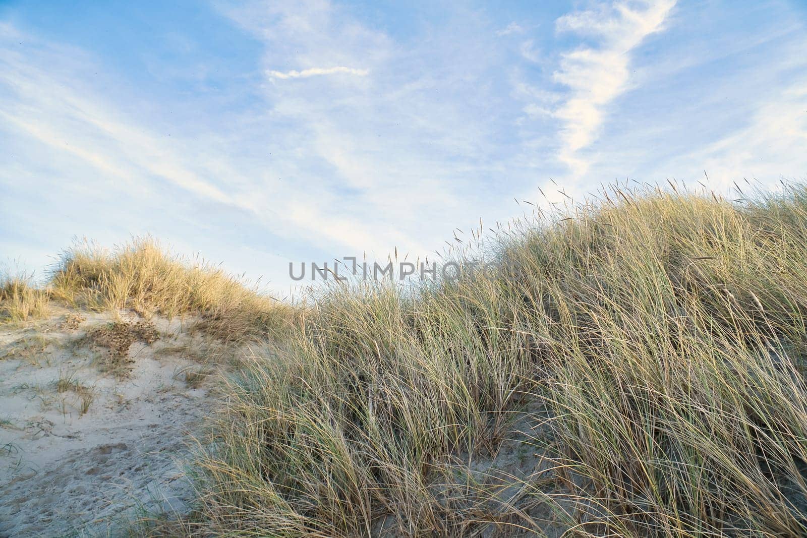 Beach crossing in Denmark by the sea. Dunes, sand water and clouds on the coast. Trip to the Baltic Sea. Vacation on the beach. Scandinavia landscape