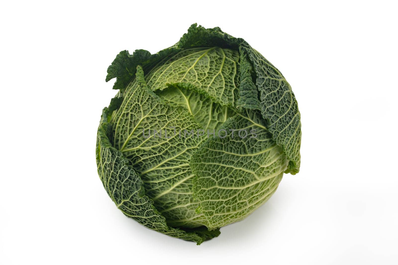 Head Savoy Cabbage isolated over white background