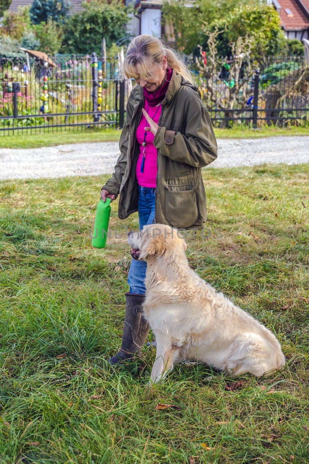 Dog trainer trains a golden retriever on a meadow in autumn.