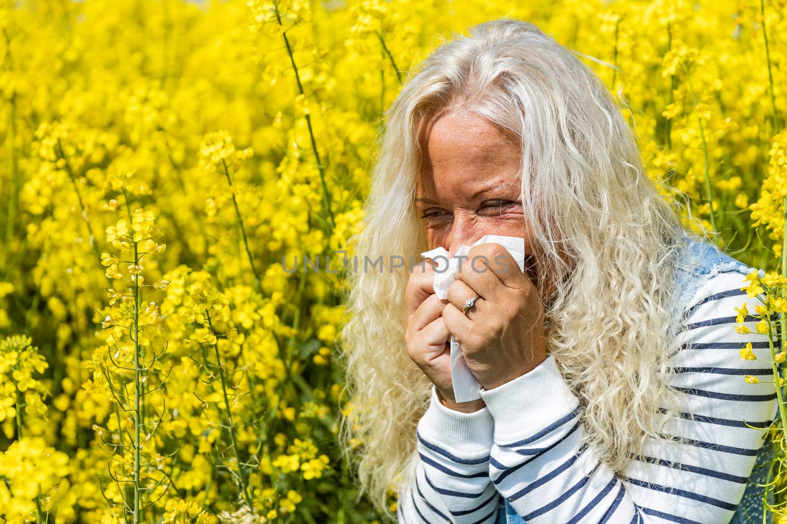 Woman suffers from allergy in a rape field and has to sneeze.