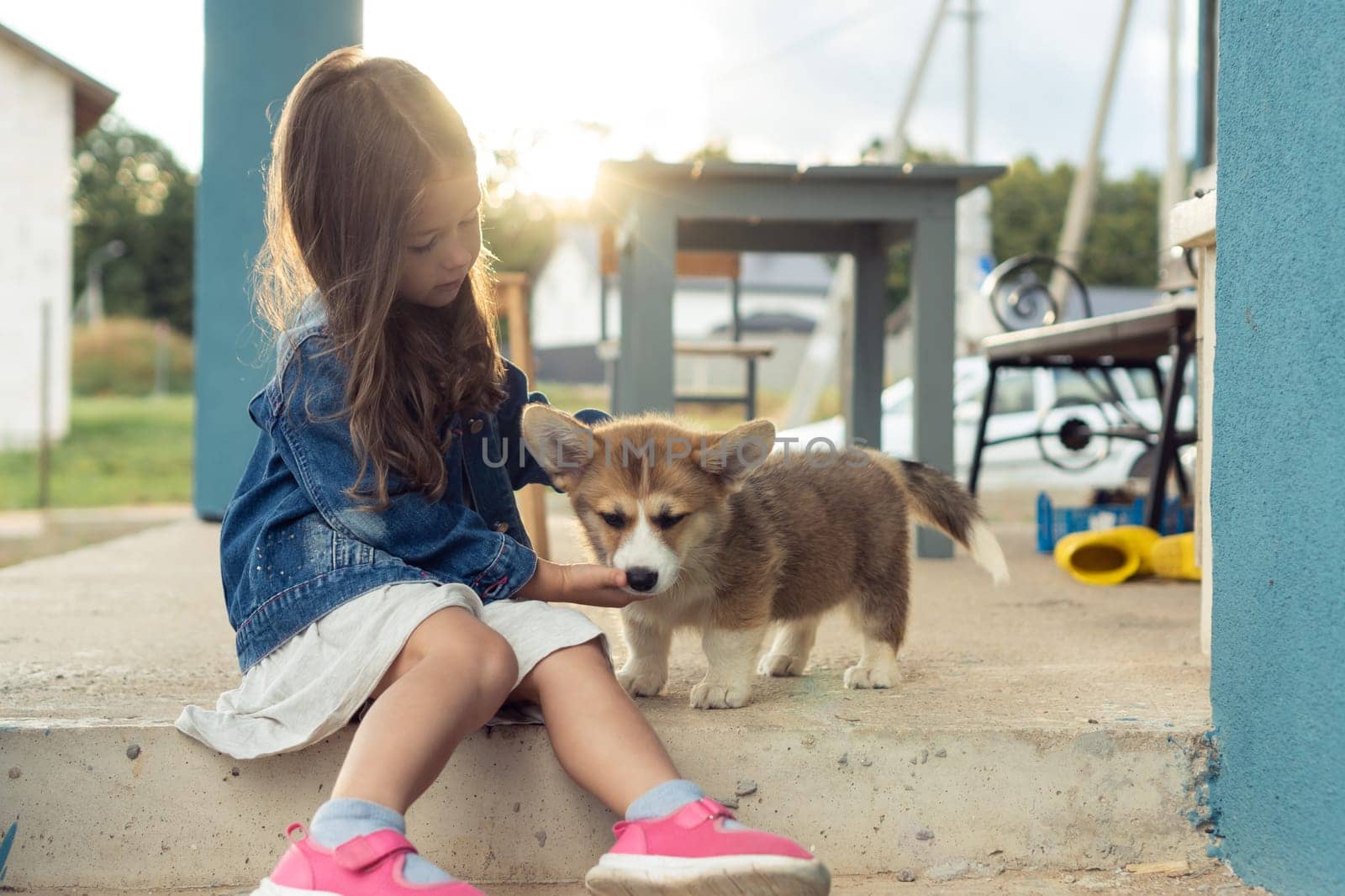 Charming little girl caress pretty corgi dog sitting outdoors on house yard. Purebred dog, love pets, domestic animal, beautiful small doggy. Child play with brown fluffy cute puppy.