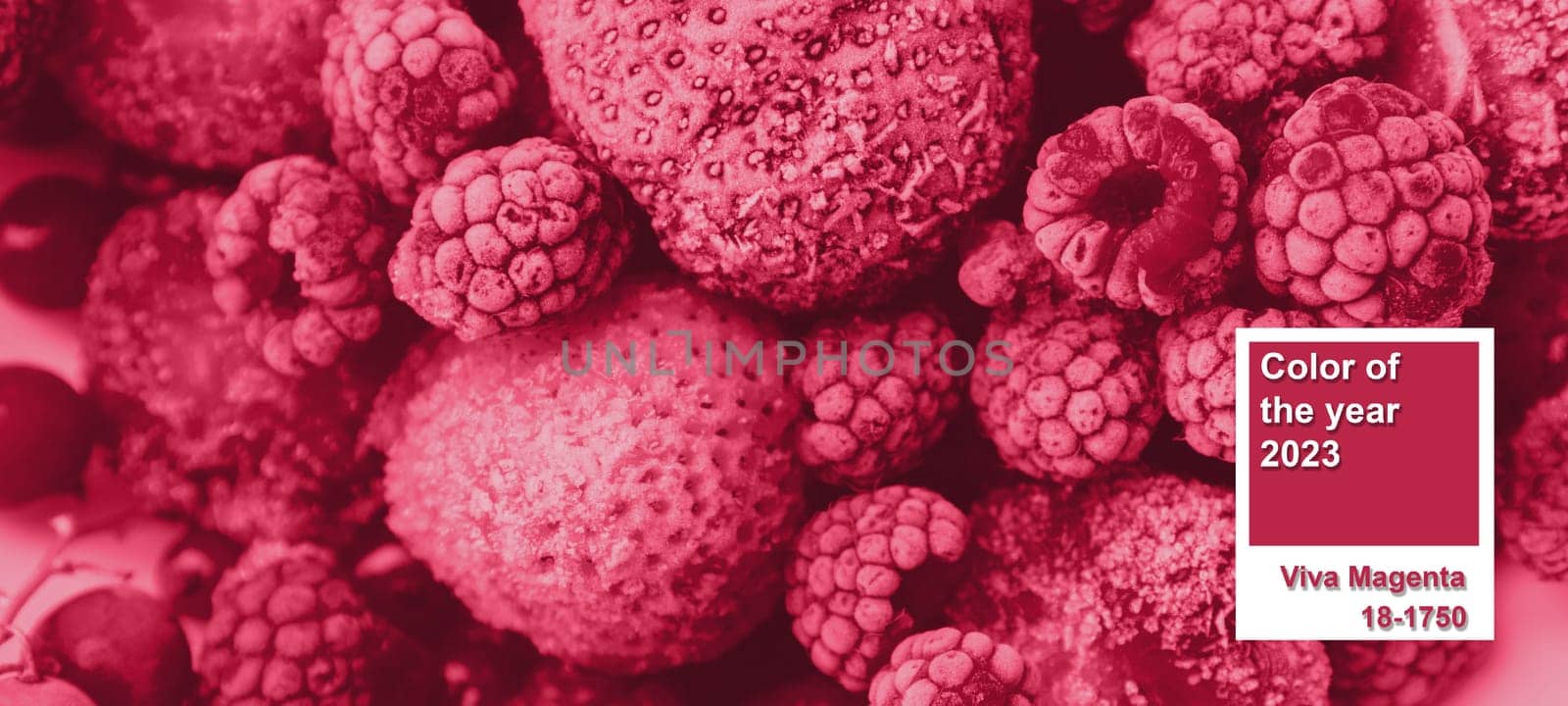 Color of the Year 2023 Viva Magenta. Red frozen berries covered with frost. Raspberries, strawberries, red currants