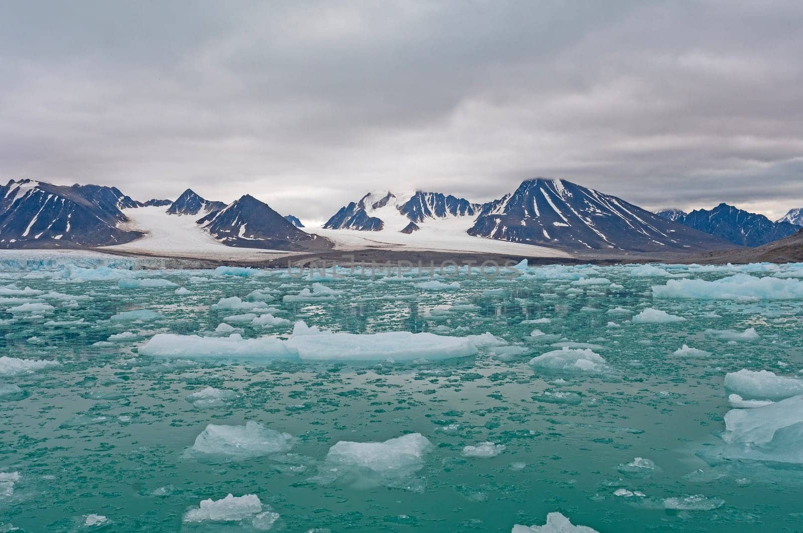Rich Colors in an Arctic Habitat at Lilliehookfjorden in the Svalbard Islands in Norway