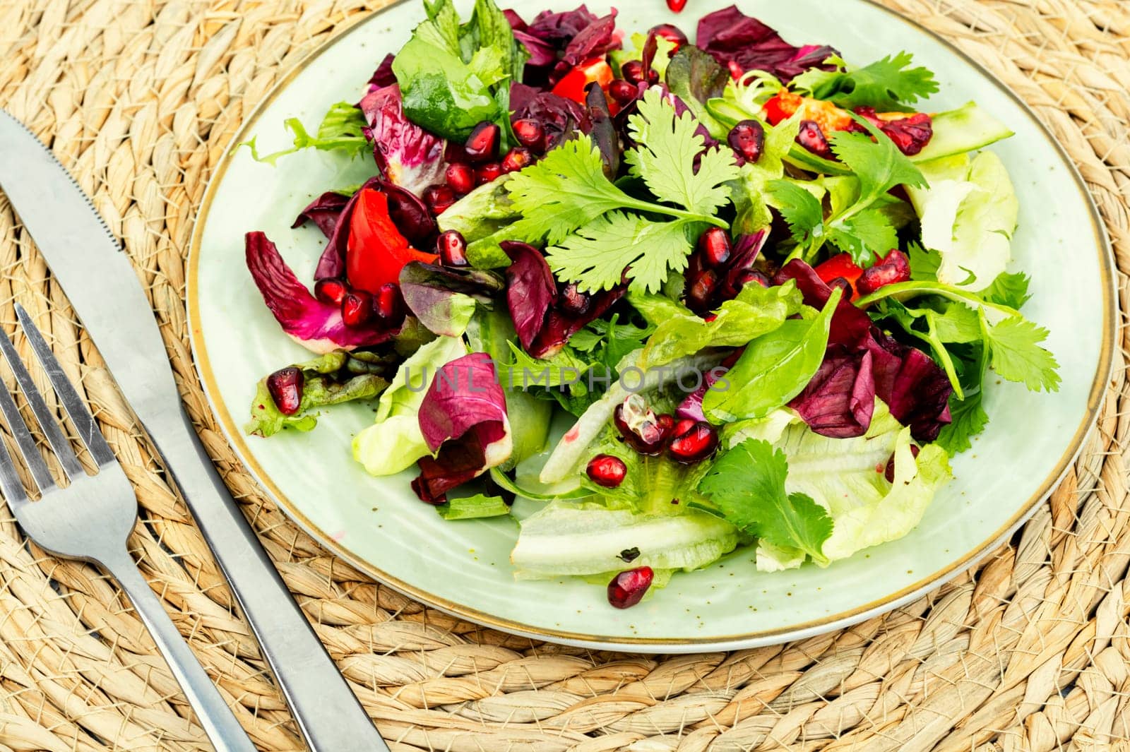 Vitamin salad with greens, pepper, radicchio and cucumber, decorated with pomegranate. Diet menu