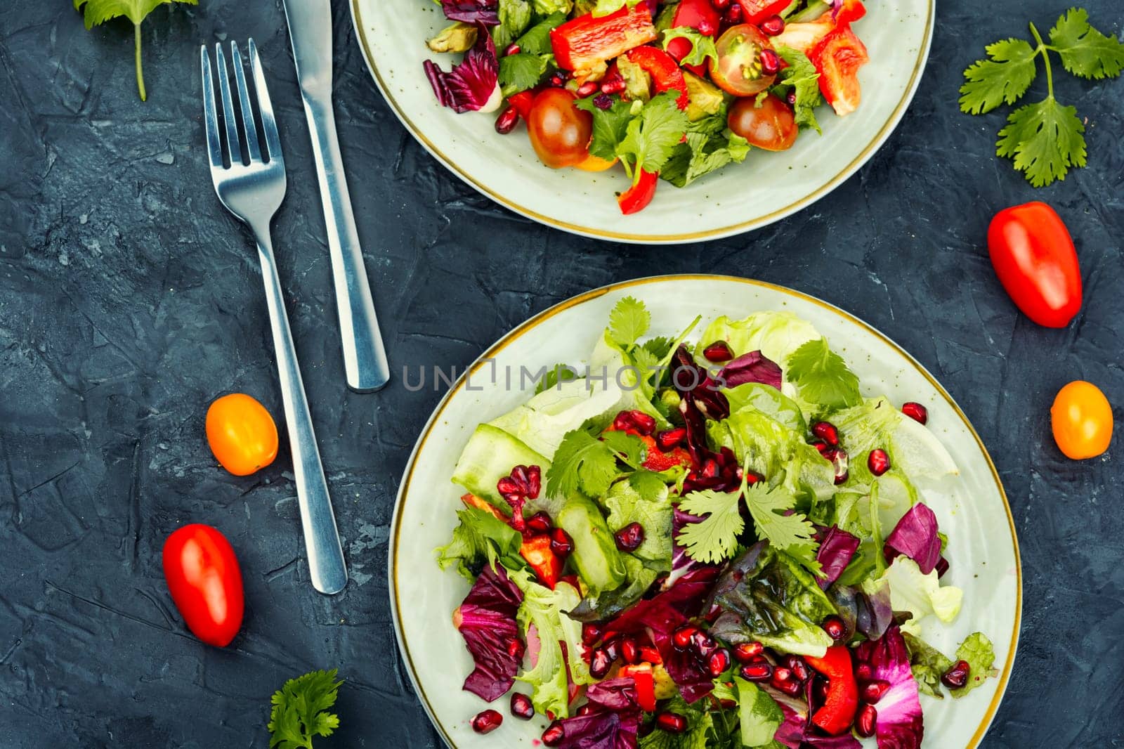 Vitamin salad with greens, pepper, radicchio and cucumber, decorated with pomegranate. Diet menu