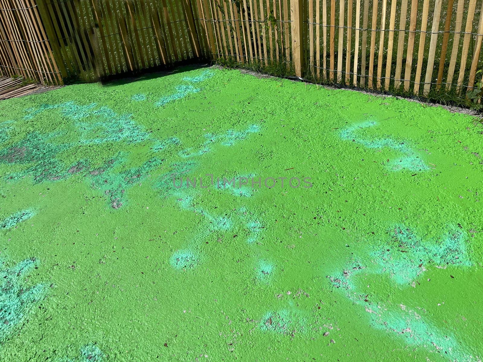 Concrete gardens are sterile stones in buildings,a questionable,temporary trend,with negative effects on the environment. Concrete gardens are sterile deserts of stone in front yards,a questionable temporary trend with negative environmental impacts.