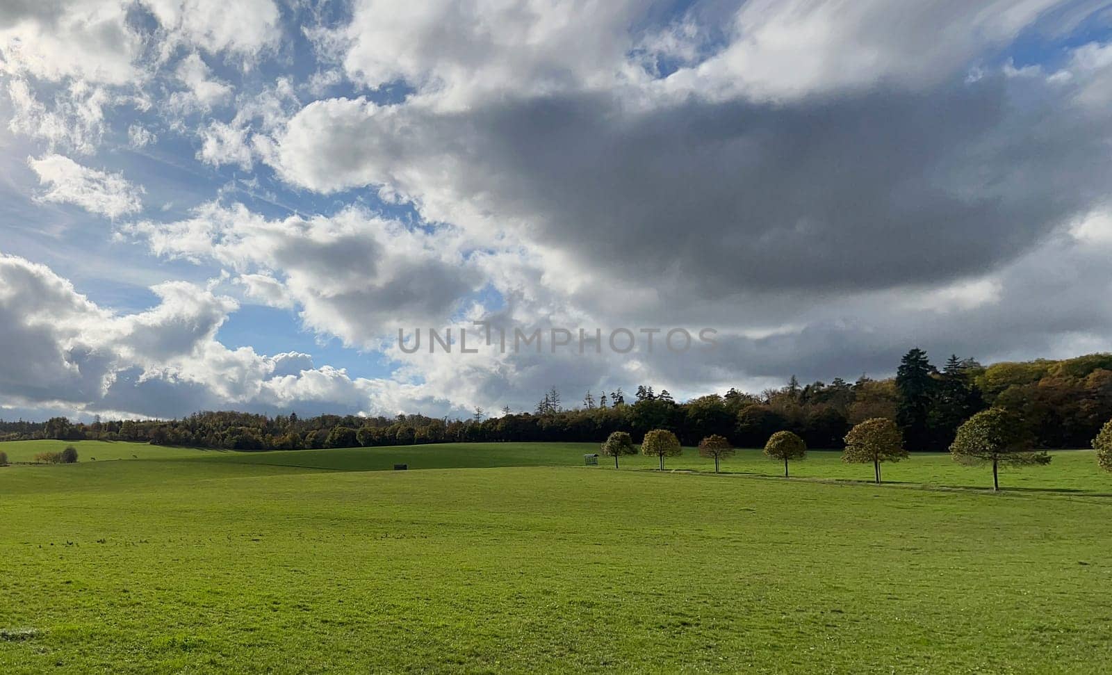 Autumn landscapes in Taunusstein are of a special idyll.  Autumn landscapes in Taunusstein are particularly idyllic.