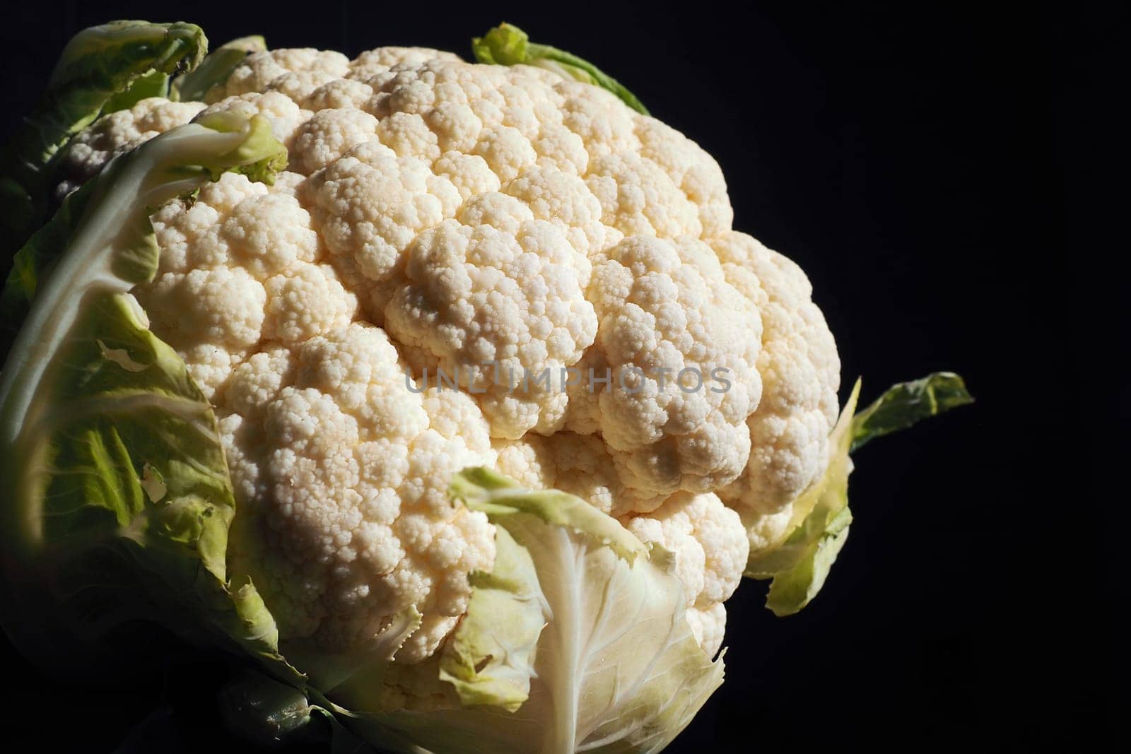 Cauliflower close-up on a black background. Side lighting. Fresh head of cabbage. Green vegetables. Brassica oleracea in the genus Brassica Brassicaceae family. Healthy food and vegetarianism