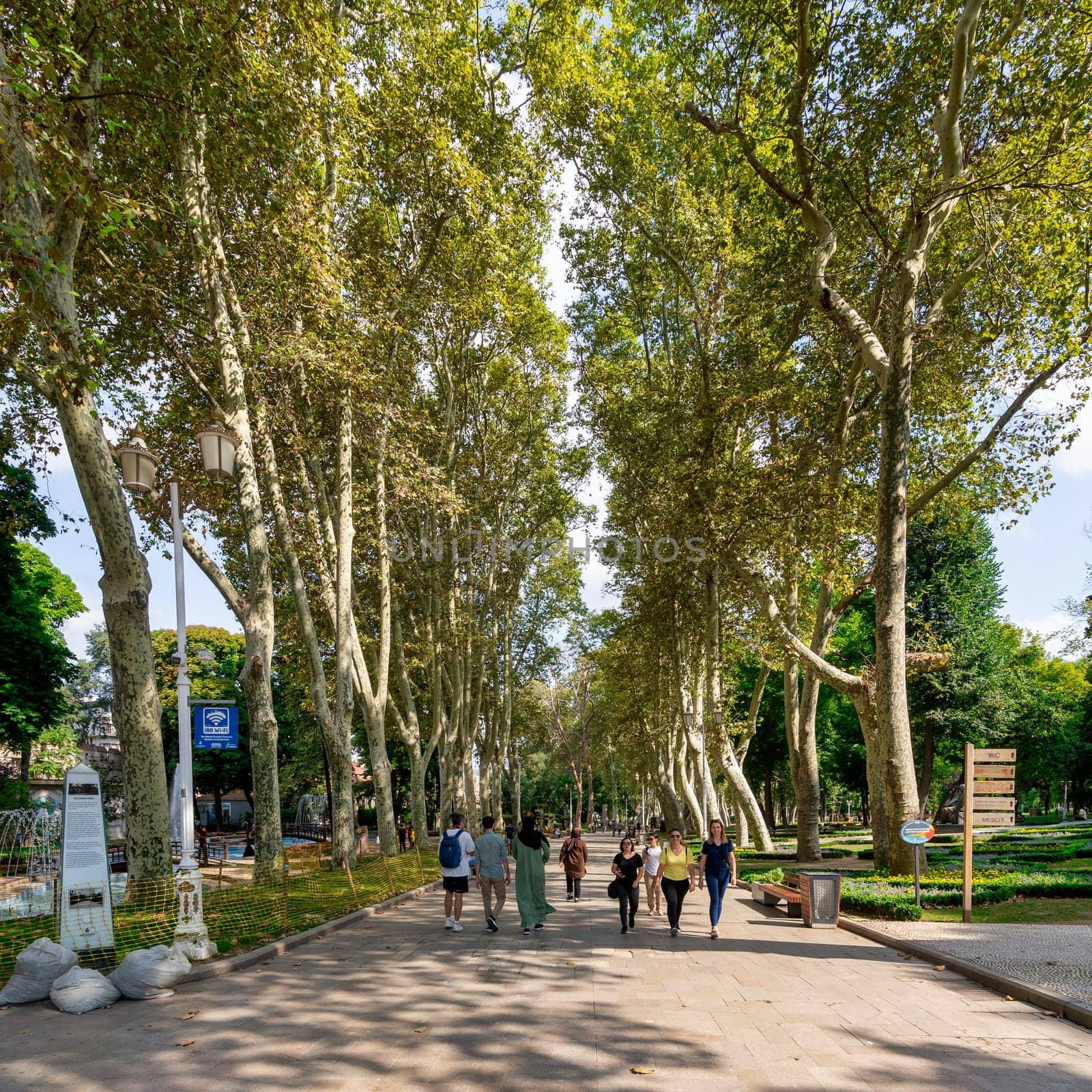 Istanbul, Turkey - August 30, 2022: Pedestrian passage surrounded with huge old trees, with few pedestrians walking, in Gulhane Park in summer time, Sultan Ahmet district