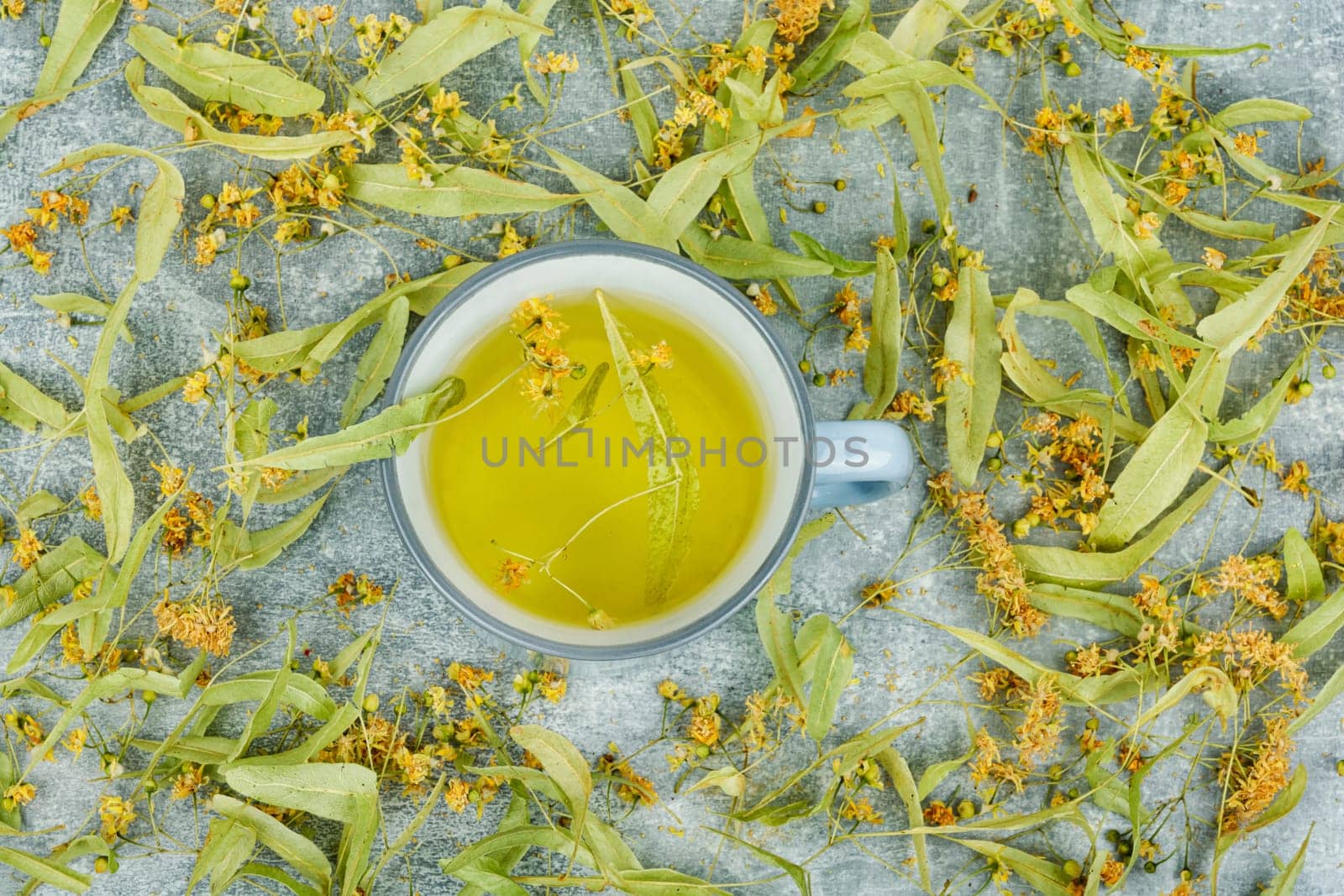 Healing inflorescences of linden for preparing tea, herbal medicine, medicinal plants.