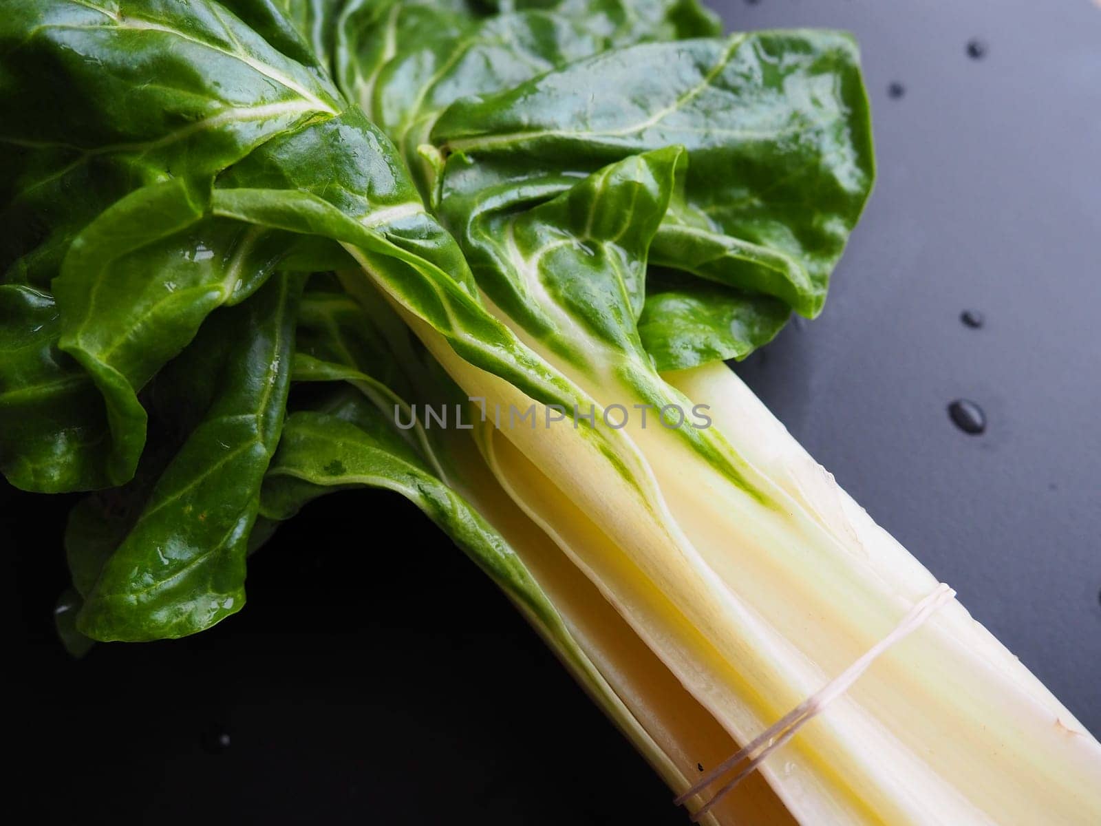 Mangold Beta vulgaris. Biennial herb, a subspecies of common beet. Fortified green lettuce leaves. Vegetarian or healthy food. Washed chard. Fresh harvested swiss chard from an organic farm