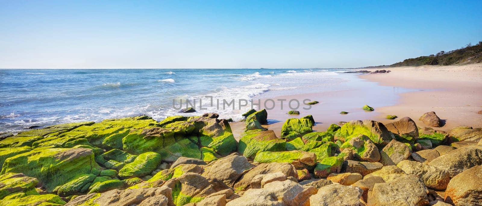 Panorama from Point Arkwright, Sunshine Coast, Queensland,  Looking South along the beach towards Maroochydore. Green moss covered rocks in the foreground and a hazy horizon in background with a clear blue sky. Small surf waves rolling in to the sandy beach.