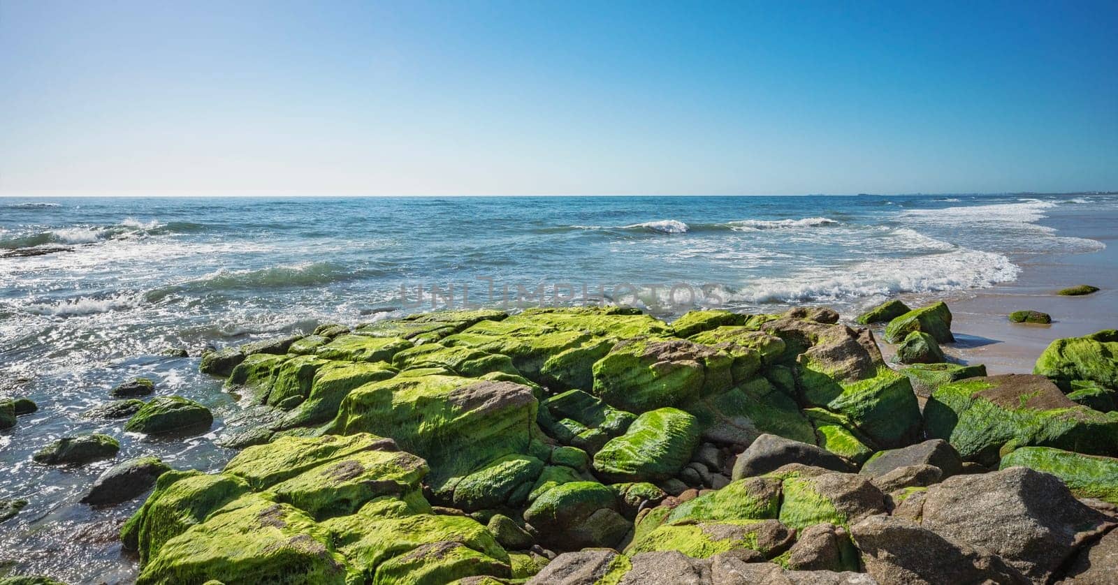 Looking out to sea from moss covered rocks at Point Arkwright, Coolum, on Queensland's Sunshine Coast, a populay holiday destination.