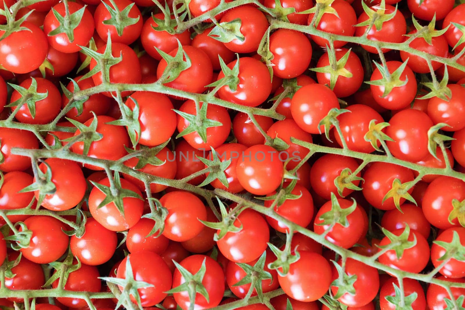 Background of cherry tomatoes. Healthy food.