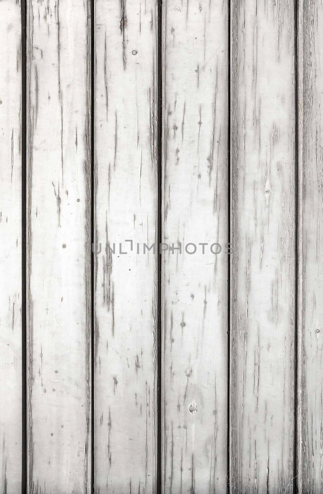 White wood texture with natural patterns. Light peeling.
