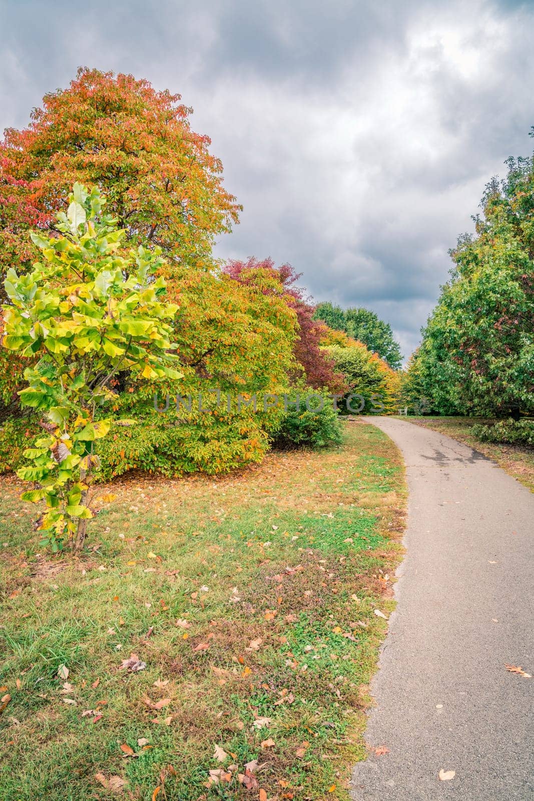 Hiking trail in Arboretum in Lexington, Kentucky in fall