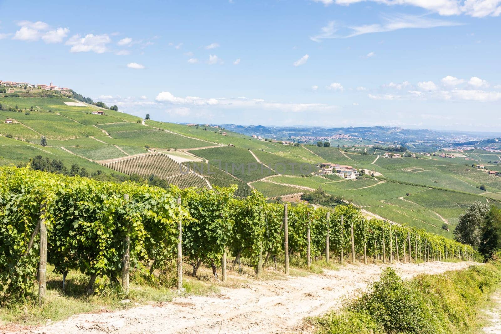 Panoramic countryside in Piedmont region, Italy. Scenic vineyard hill close to Barolo.