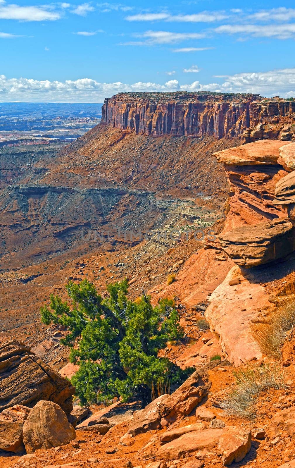 Sandstone Ridge Jutting Out of a Canyon in Canyonlands National Park in Utah