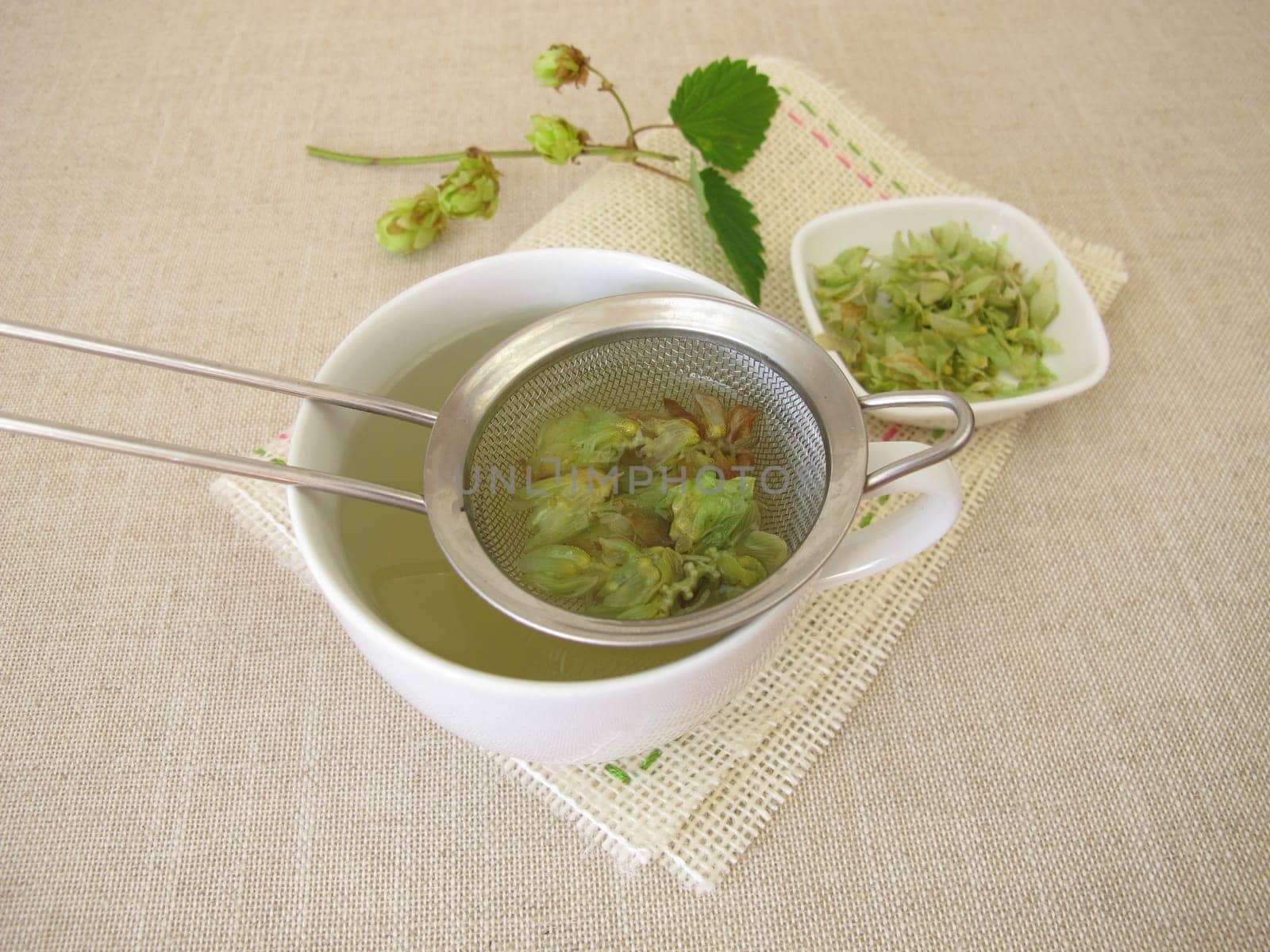 Herbal tea with dried hop flowers in tea strainer