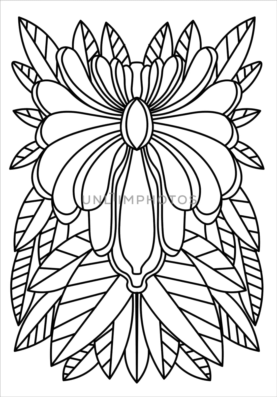 abstract, adult, arabic, architecture, art, beautiful elements, black, blacksmith, border, circle, coloring, decor, decoration, decorative, design, element, elements, ethnic, fence, floral, flower, forge, frame, gate, graphic, handmade illustration indian iron isolated landscape design landscaping lattice mandala meditation metal art ornament ornamental outline page pattern plants round swirl symbol tattoo template textile vector vintage