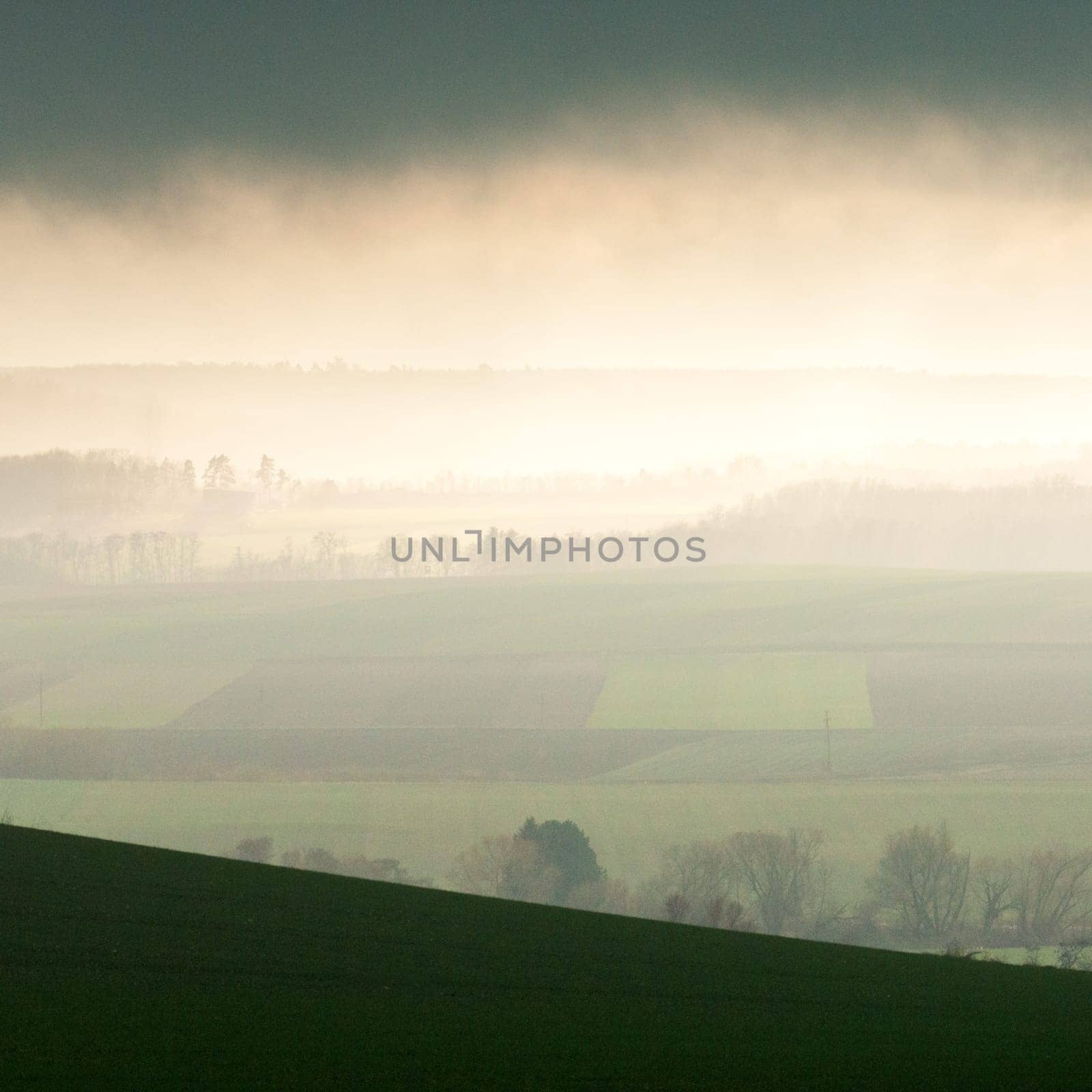 View across a green meadow on a hill at foggy weather in the region Burgenland, Austria