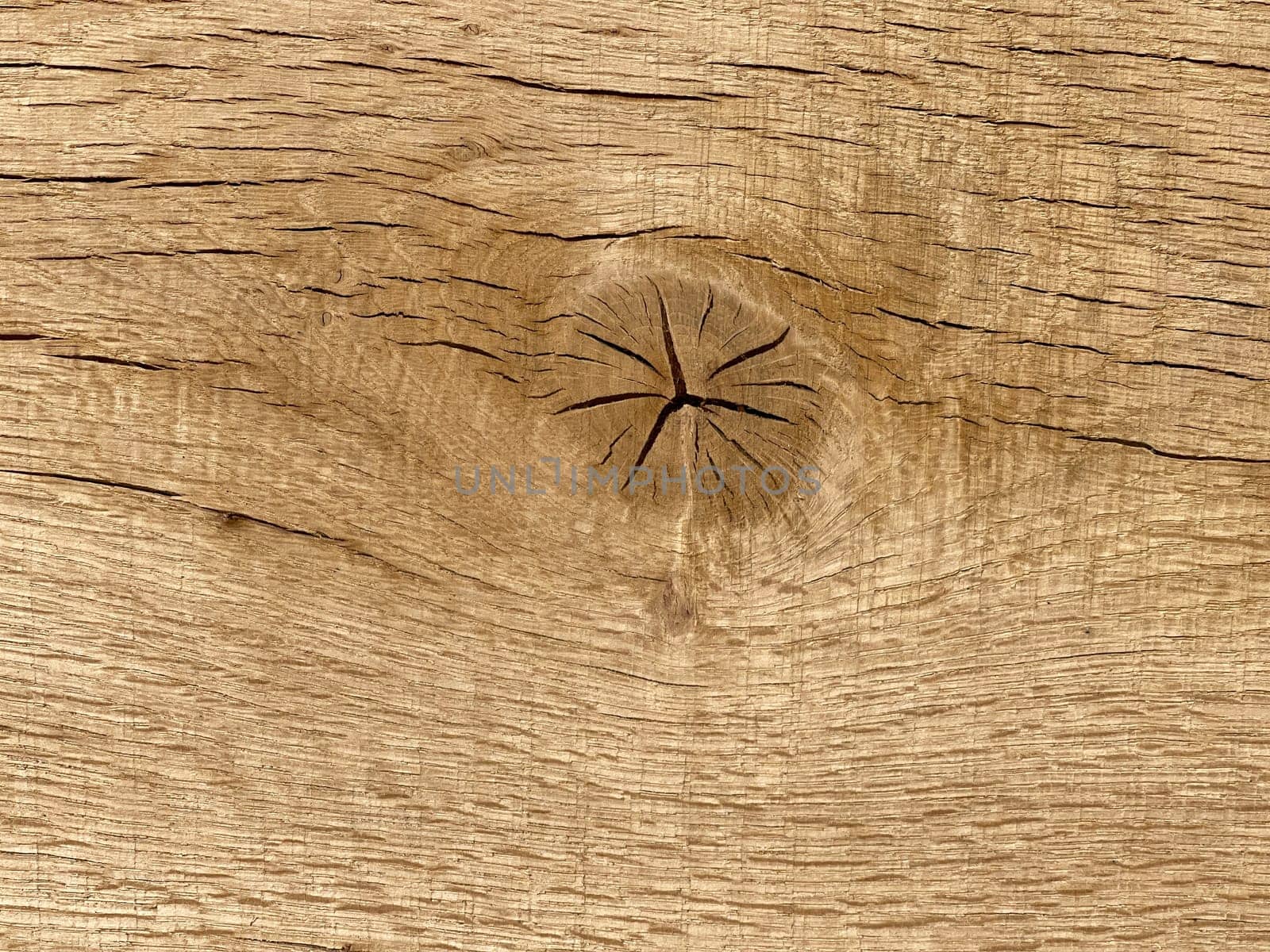 Knothole a hole created by a branch falling out of a wooden board. knothole a hole caused by a branch falling out of a wooden board.