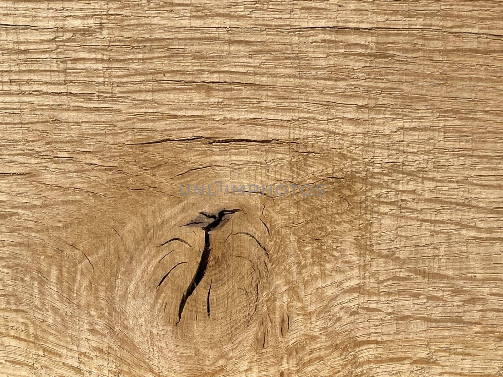 Knothole a hole created by a branch falling out of a wooden board. knothole a hole caused by a branch falling out of a wooden board.