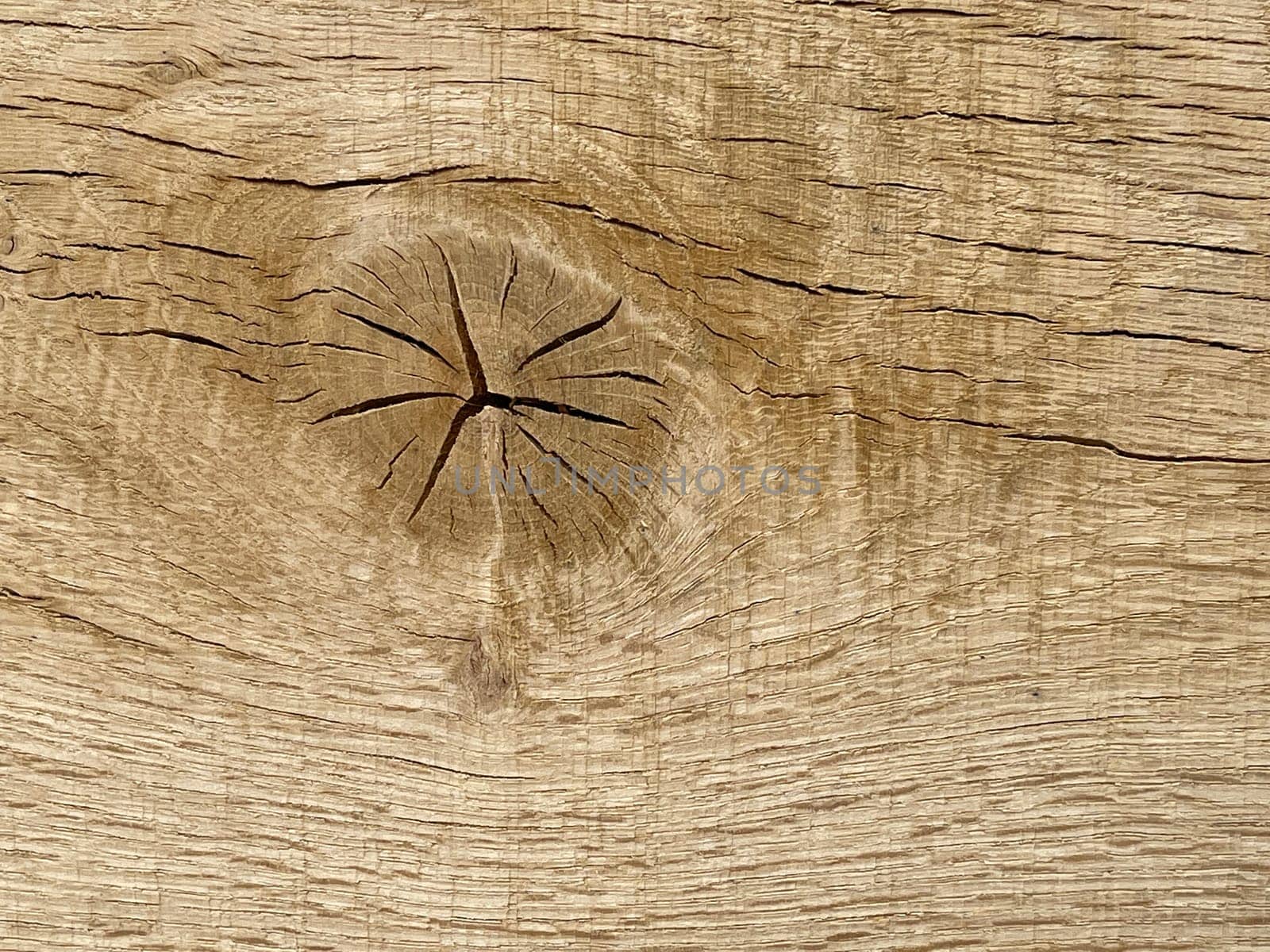 Knothole a hole created by a branch falling out of a wooden board. knothole a hole caused by a branch falling out of a wooden board.