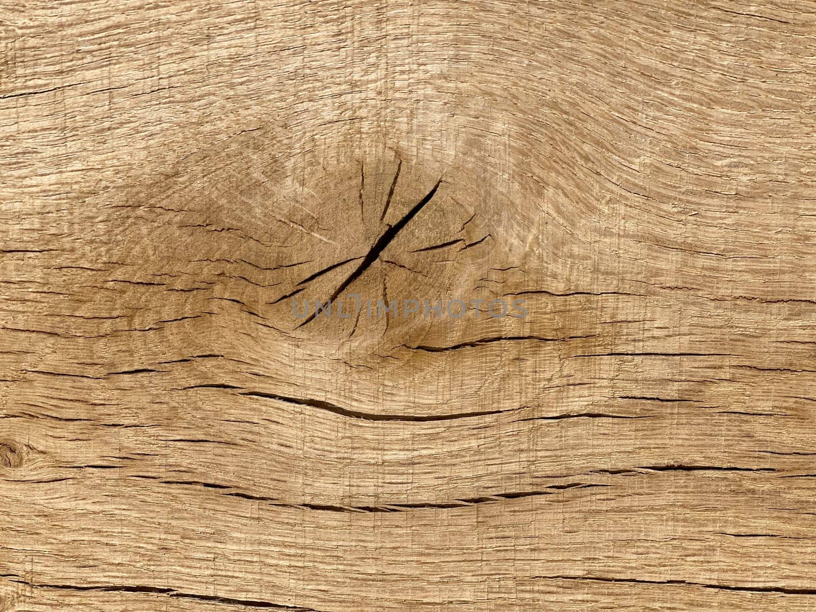 Knothole a hole created by a branch falling out of a wooden board. knothole a hole caused by a branch falling out of a wooden board.