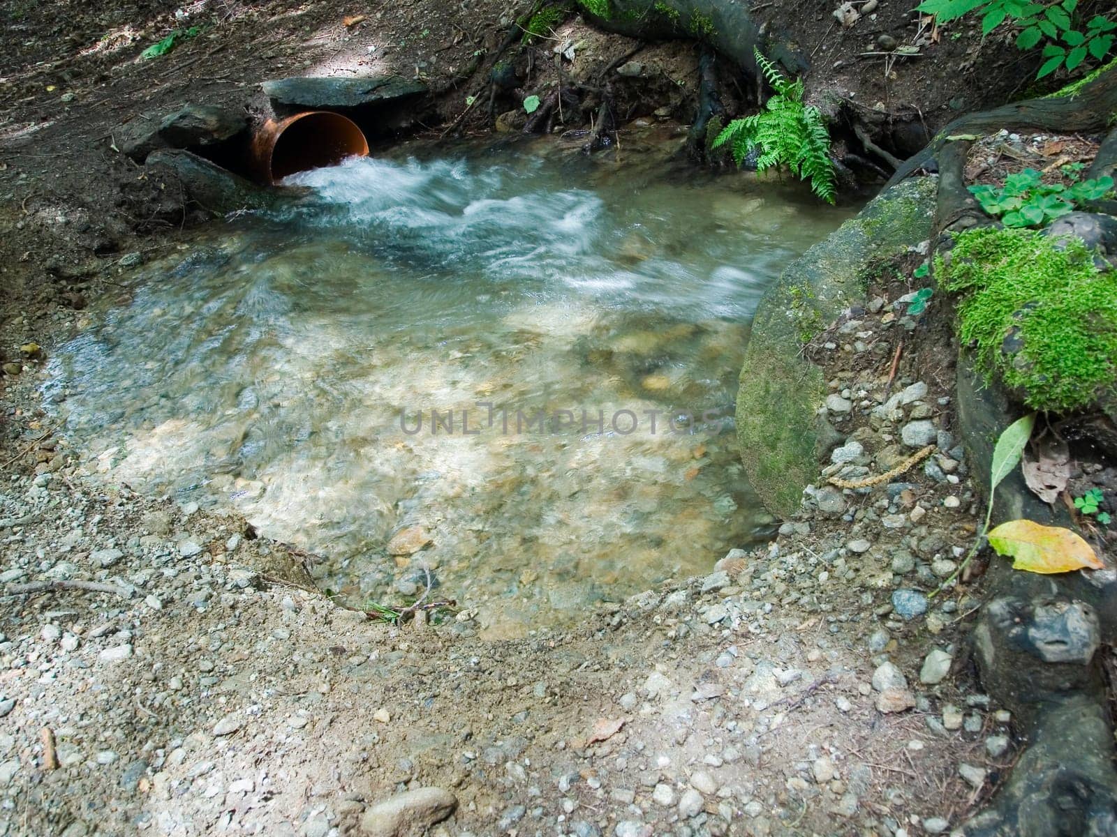 wide-angleview of a bubbling water spring in the forest near and above the town of Merano on the Whale Trail in South Tyrol