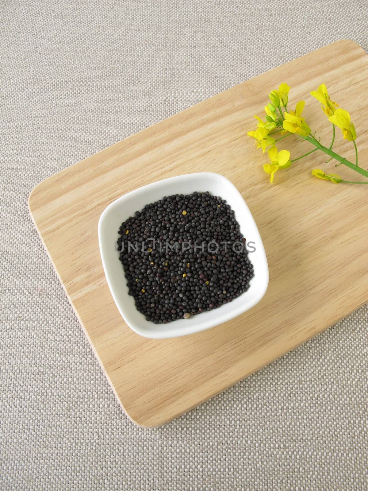 Seeds of rapeseed