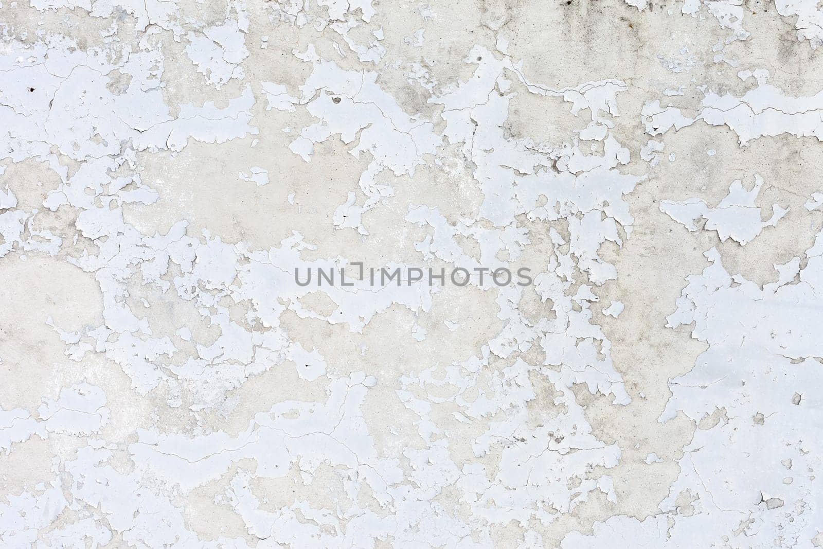 Grunge white background cement old texture wall