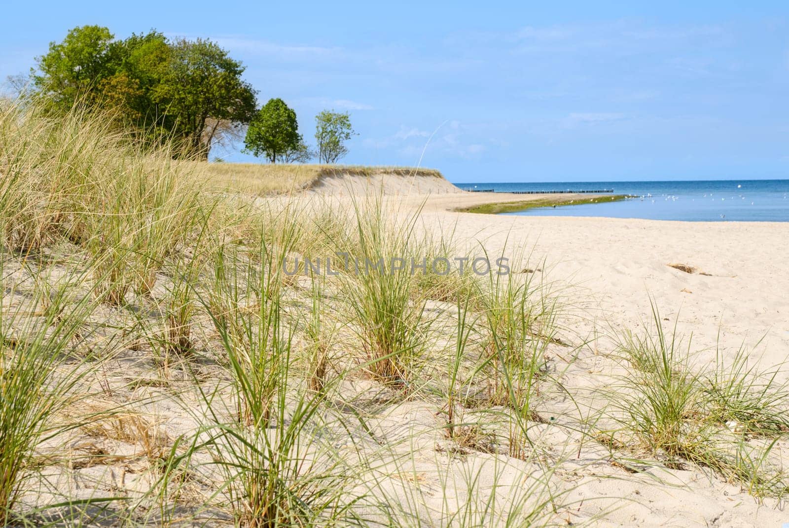 Natural beach on Baltic sea