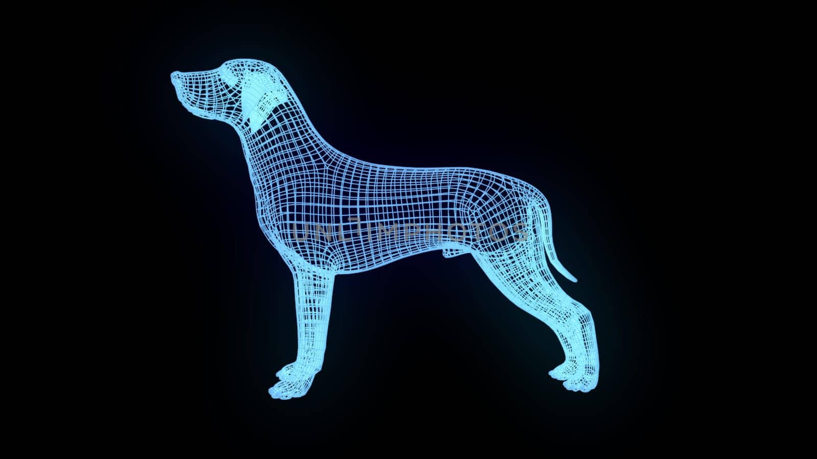 Dog wireframe. Computer generated 3d render