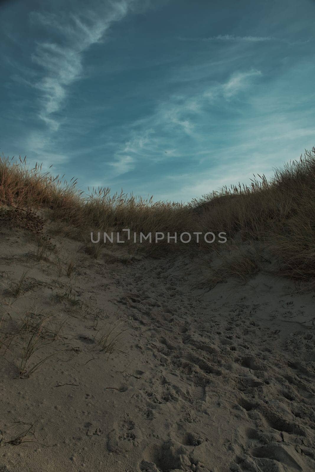 Beach crossing in Denmark by the sea. Dunes, sand water and clouds on the coast. Trip to the Baltic Sea. Vacation on the beach. Scandinavia landscape