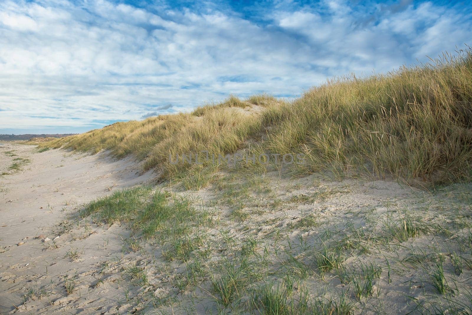Beach crossing in Denmark by the sea. Dunes, sand water and clouds on the coast. Trip to the Baltic Sea. Vacation on the beach. Scandinavia landscape