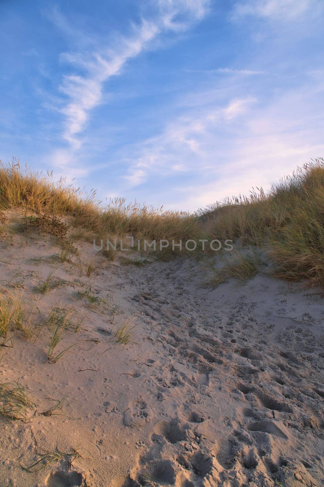 Beach crossing in Denmark by the sea. Dunes, sand water and clouds on the coast. Trip to the Baltic Sea. Vacation on the beach. Scandinavia landscape