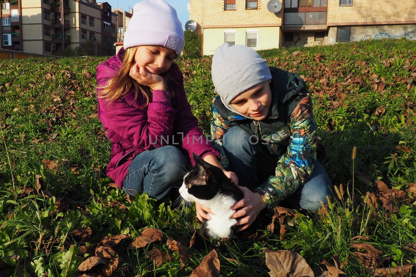 Children, a boy and a girl of white race, walk a black and white cat on the grassy lawn near the house. The cat is afraid of a new place and tries to get out of hand. Autumn sunny day