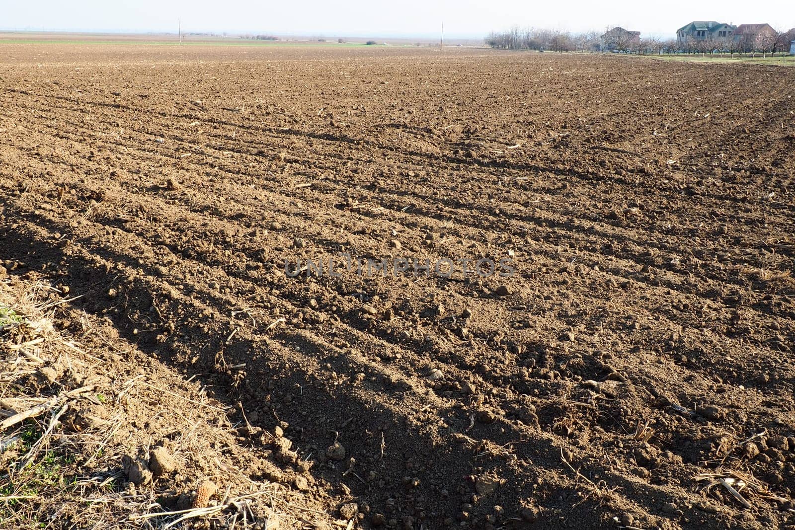 Arable field ready for spring agricultural work. Furrows from the passage of a tractor or combine. Cornmeal on the ground. Fertile soil for planting. Fertilizers are the key to a good harvest
