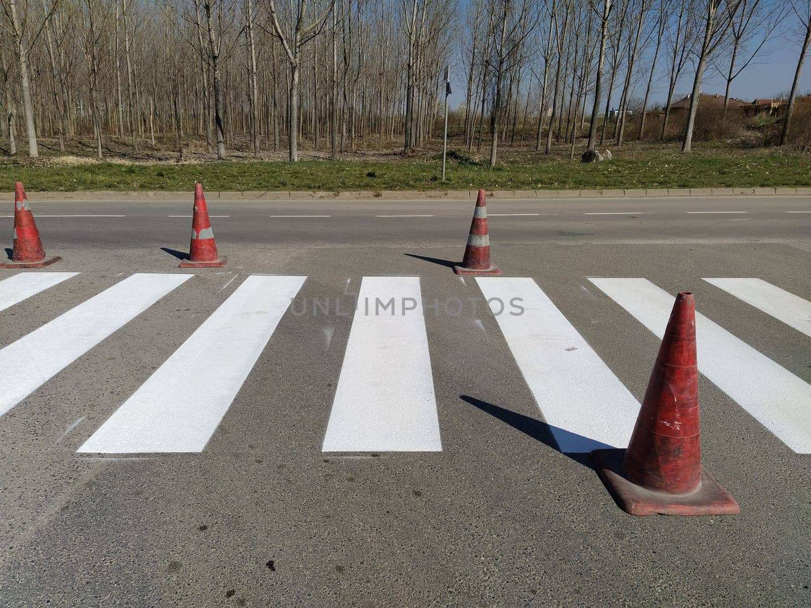 Painting pedestrian crossings with new paint. Road warning plastic orange cone. White stripes on the pavement. The pedestrian crossing is marked with special road signs or markings.