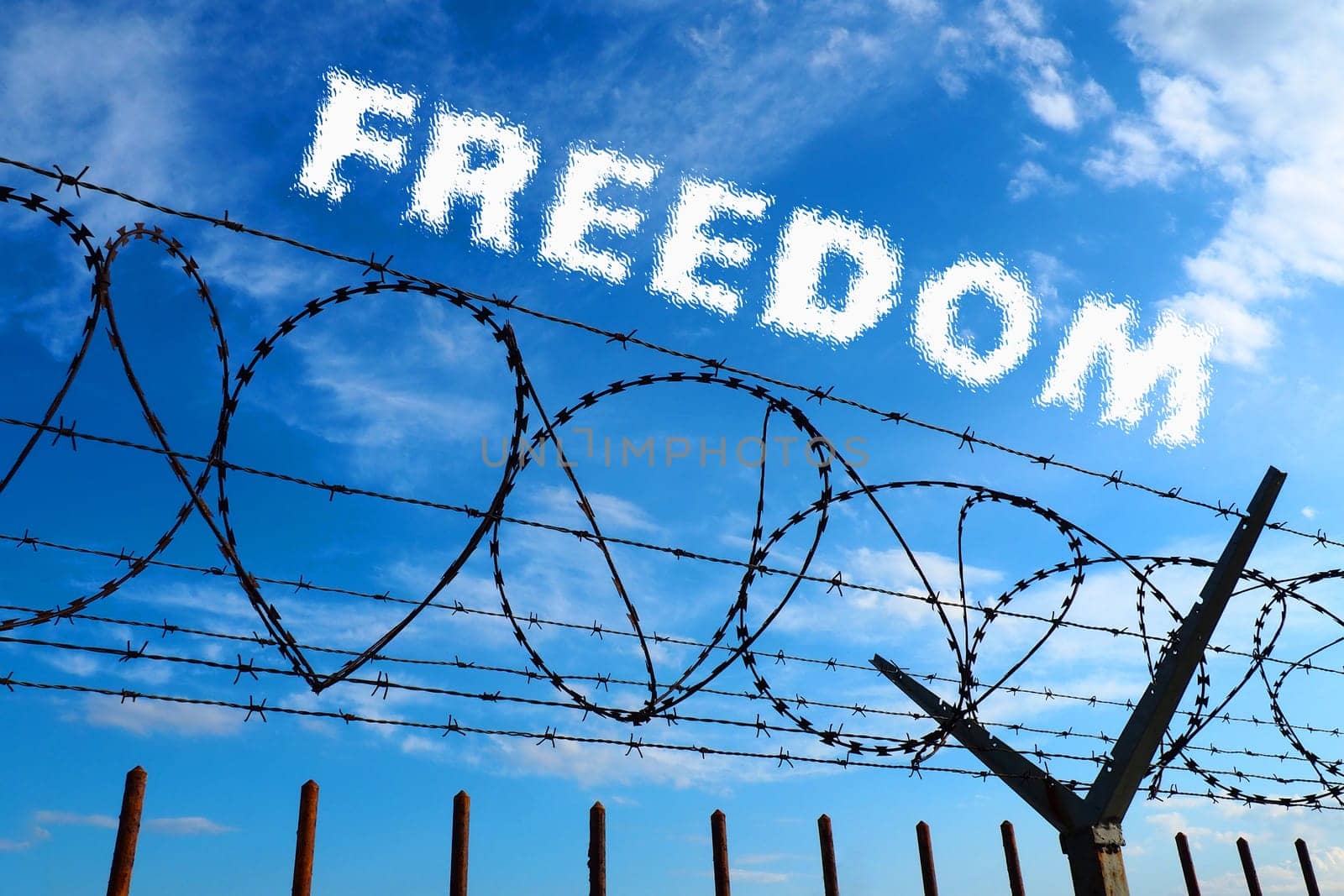 Barbed wire against the blue sky and white clouds. The inscription is blurred in white - freedom. The concept of freedom, human rights, imprisonment, restrictions and violence.