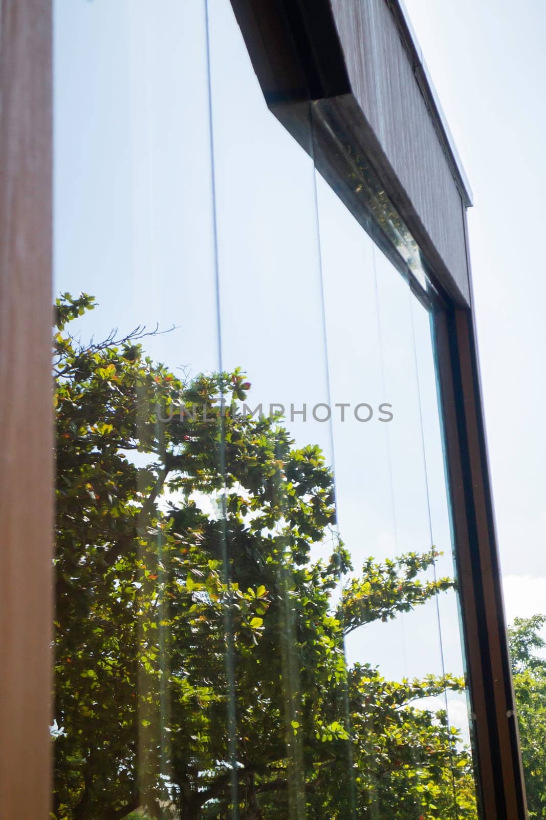 Exterior glass building reflect tropical green garden, stock photo