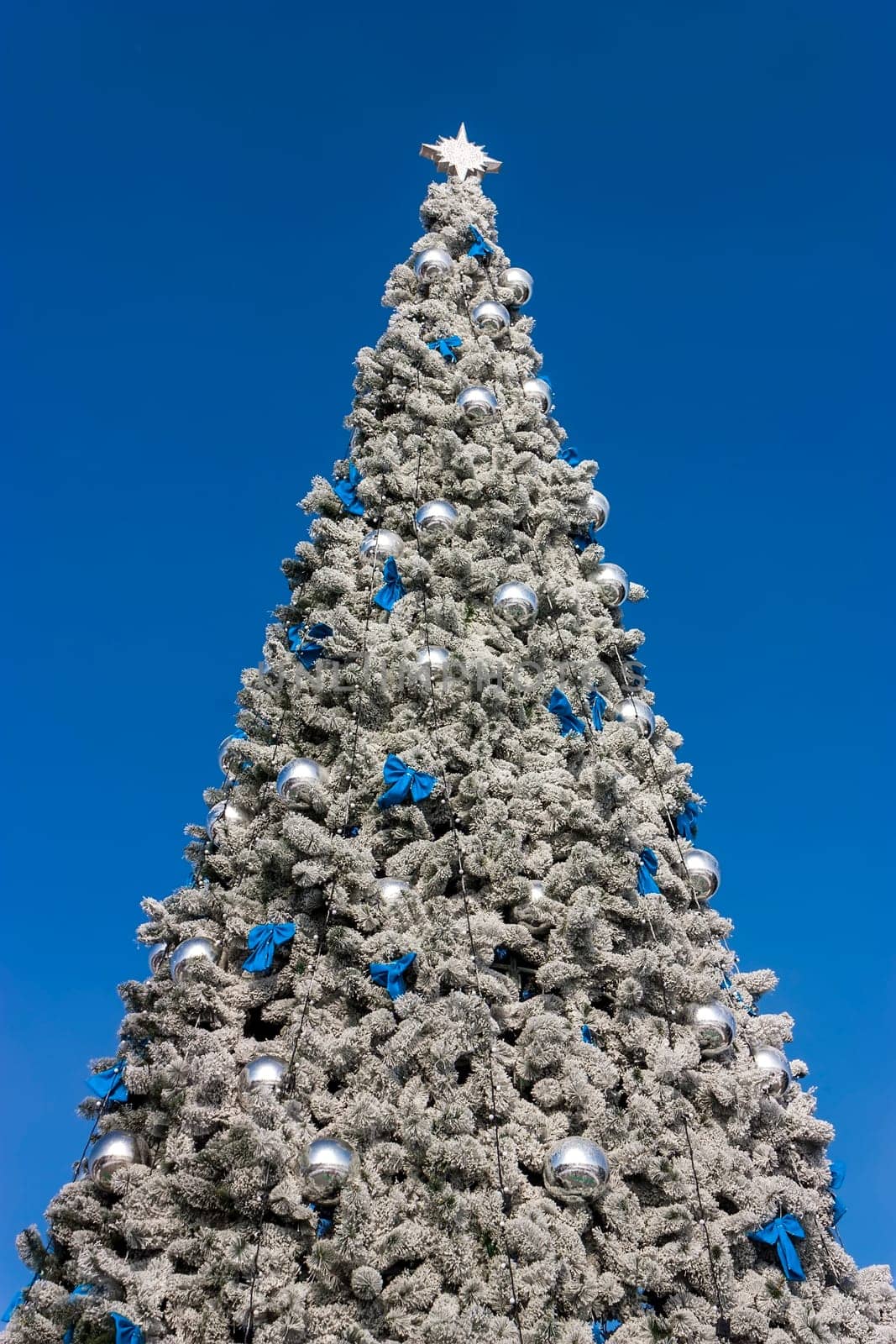 Christmas tree with blue sky.