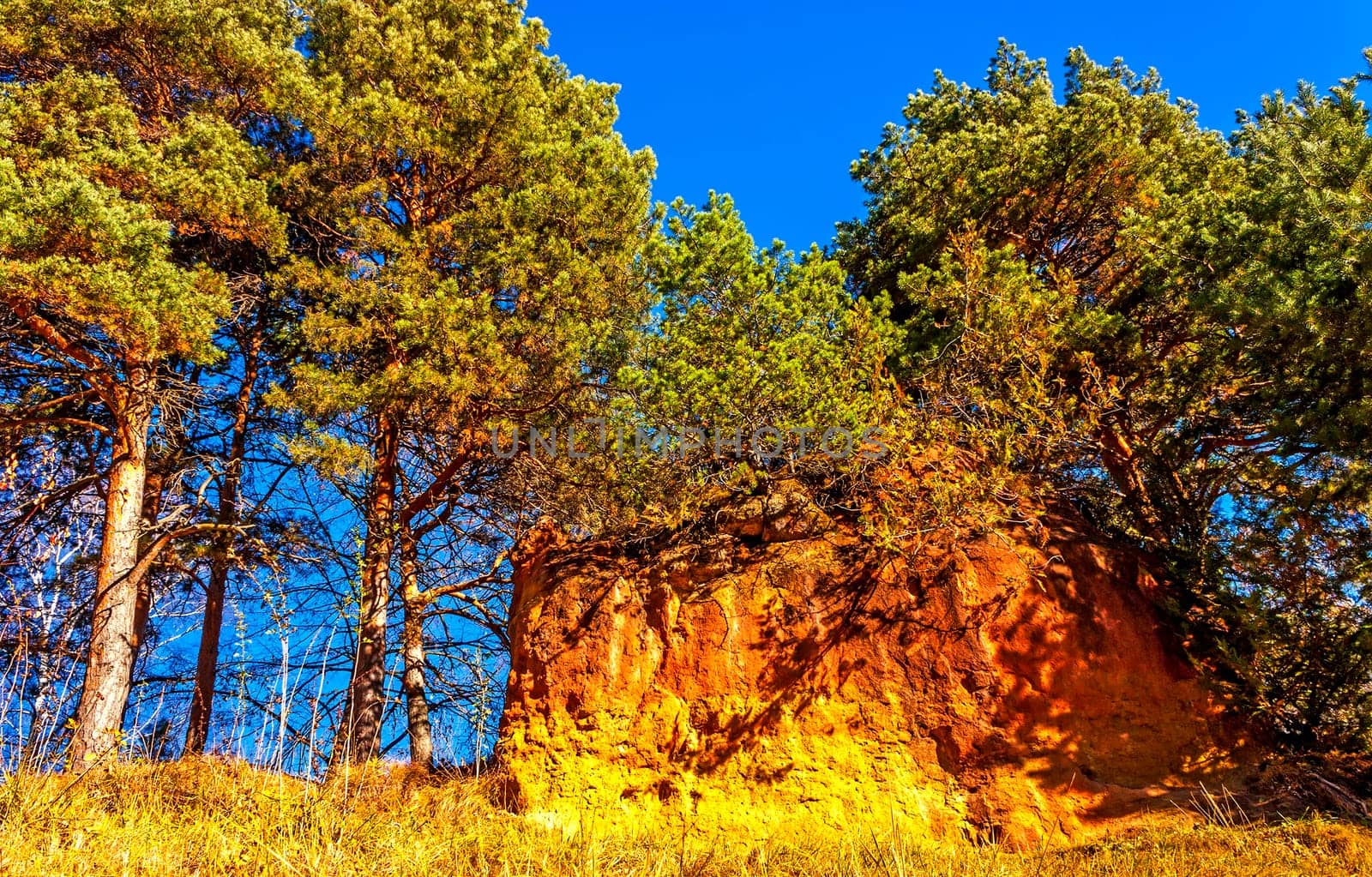 Red stones in the old park.