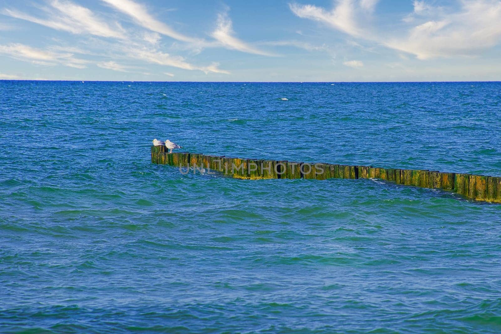 Groynes jutting into the Baltic Sea. Seagulls sit on the groynes. Landscape by the sea. Vacation resort in Germany