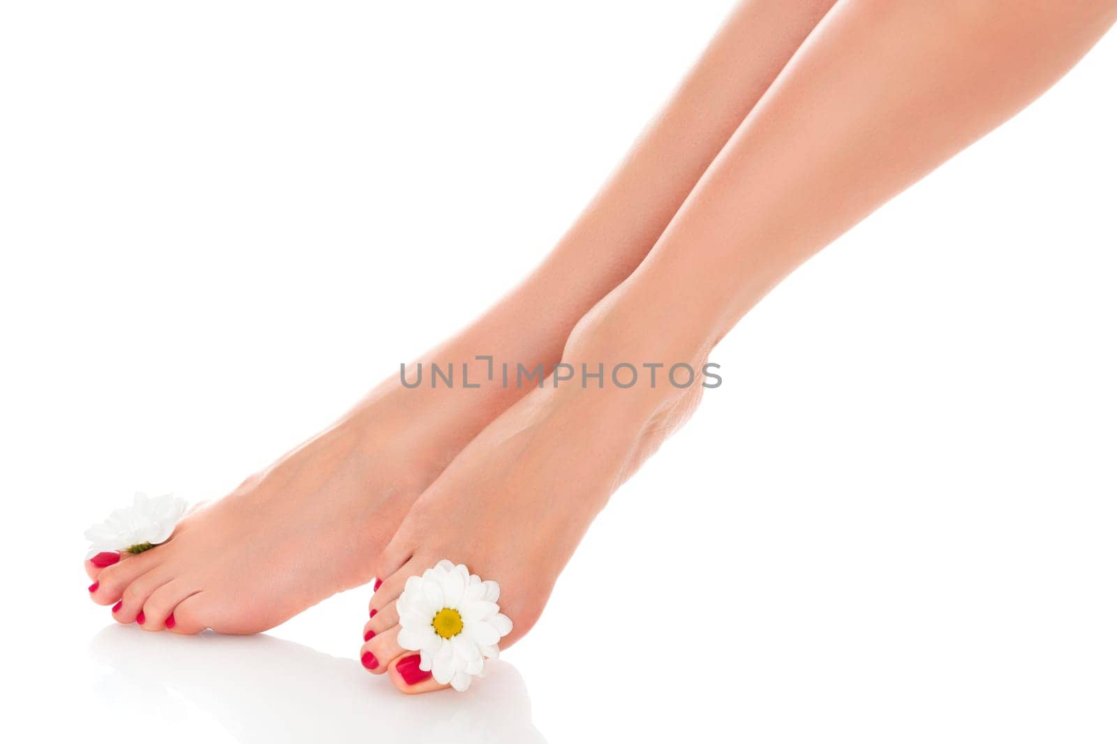 Beautiful female legs with daisy flower isolated on white background.
